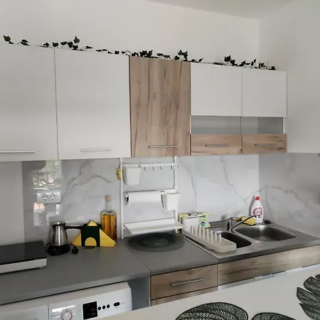 Jungle Srebrno Jezero Apartman