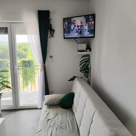 Apartman Jungle Srebrno Jezero