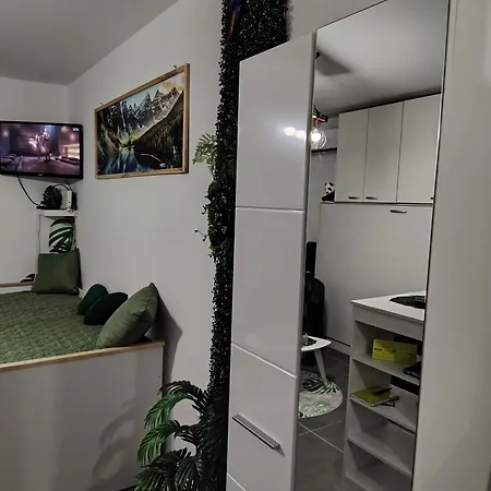 Jungle Srebrno Jezero Veliko Gradište