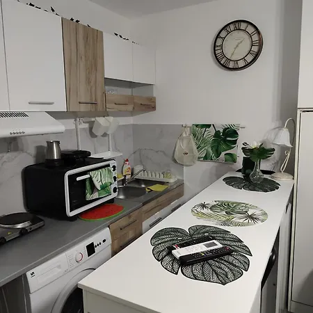 Jungle Srebrno Jezero Daire