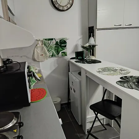 Jungle Srebrno Jezero Daire *