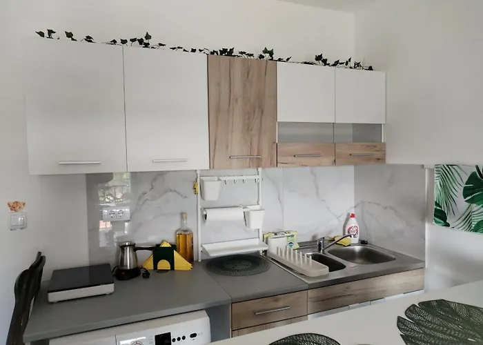 Jungle Srebrno Jezero Daire