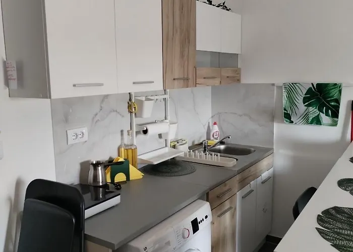 Daire Jungle Srebrno Jezero