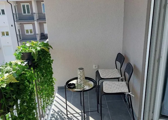 Jungle Srebrno Jezero Daire Veliko Gradište