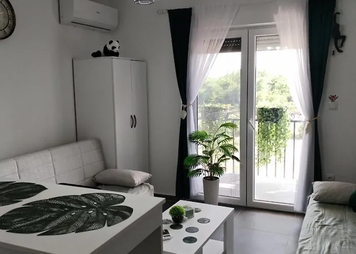 Jungle Srebrno Jezero Daire