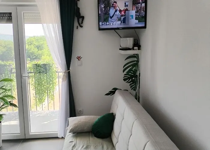 Daire Jungle Srebrno Jezero