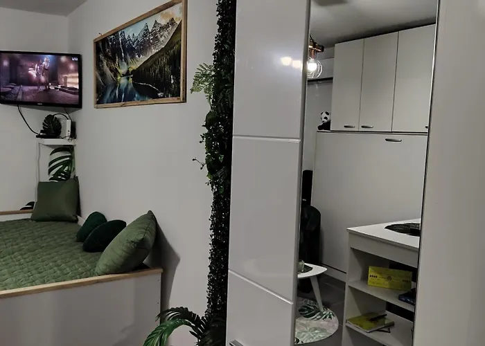 Jungle Srebrno Jezero Veliko Gradište