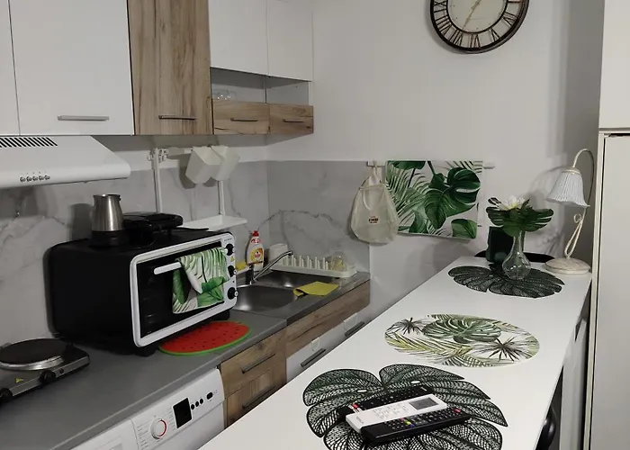 Jungle Srebrno Jezero Daire