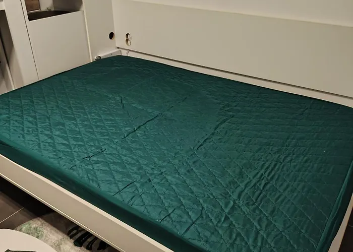 Daire Jungle Srebrno Jezero